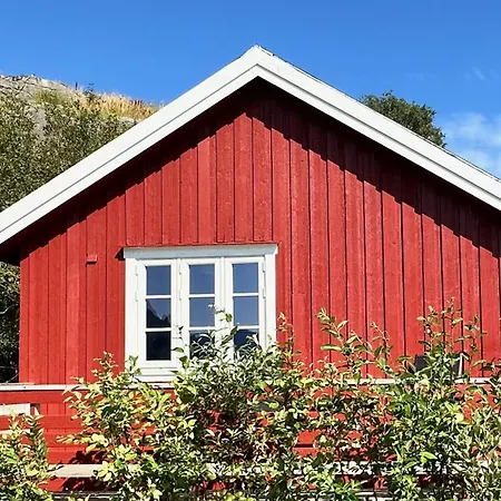 Eagle Bay - Waterfront Rorbu B Sørvågen